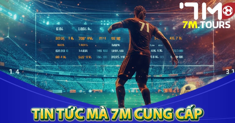 Những tin tức mà 7m cung cấp cho khách hàng